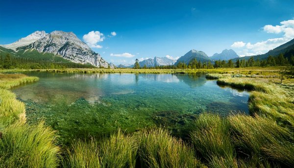 Où participer à une fête traditionnelle de la moisson en Bretagne, France?