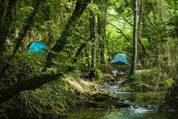Quels sont les avantages et les inconvénients du camping en forêt de conifères?