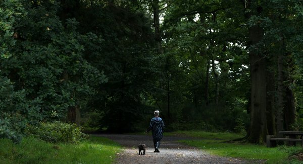 Quels conseils pour une randonnée en forêt noire en Allemagne ?