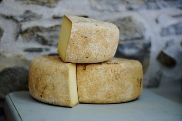 Où découvrir les traditions de la fabrication de fromage en Suisse alémanique?